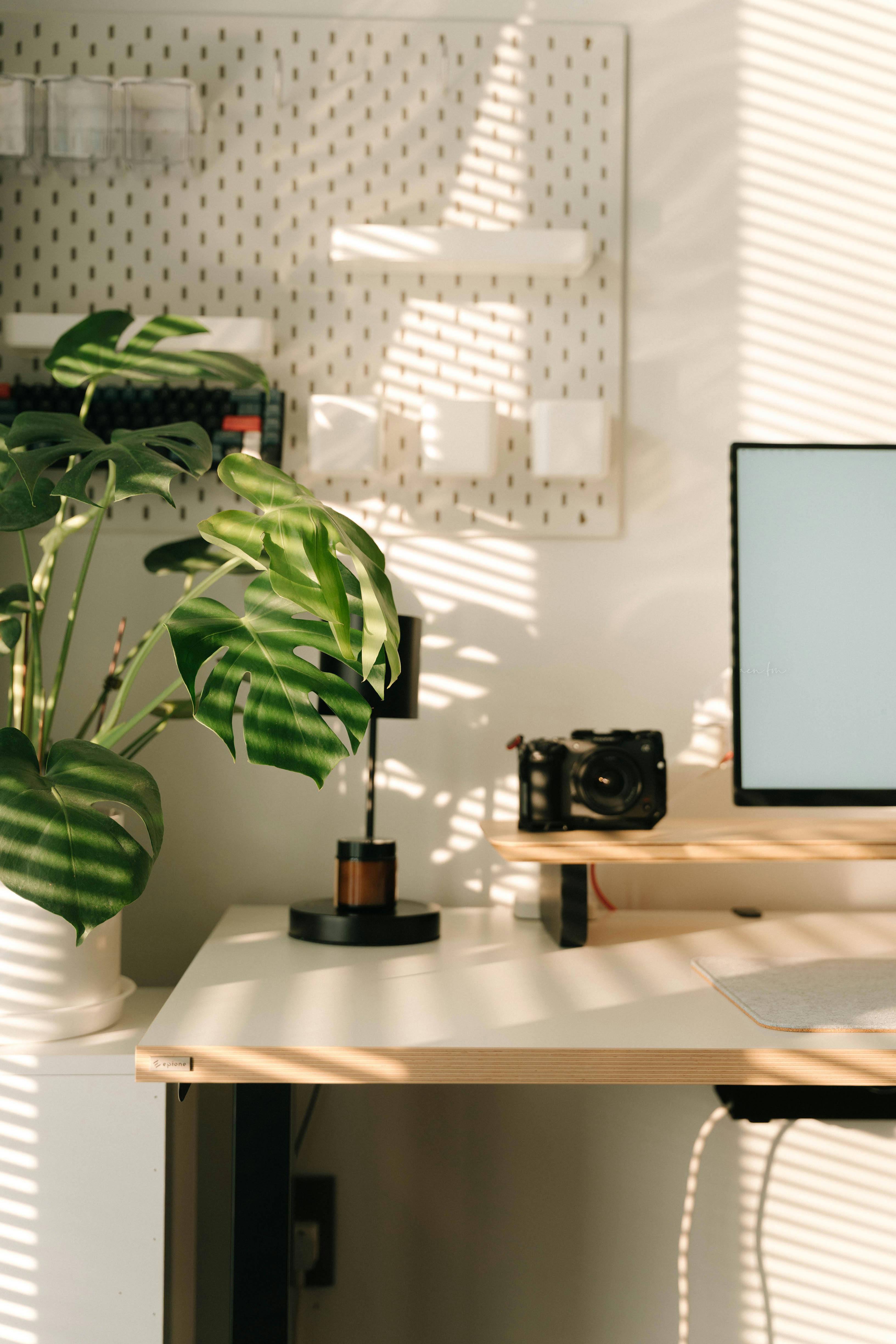 Ergonomieberatung
